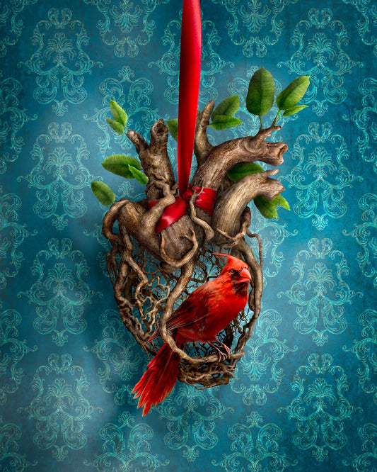 Heart of a Songbird (postcard)